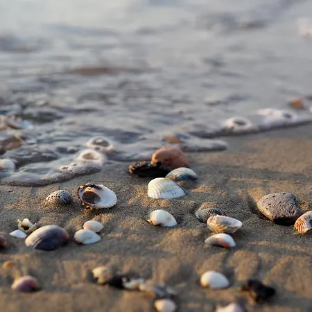 Enchanting Sea View - Beahost Porto Santa Margherita di Caorle